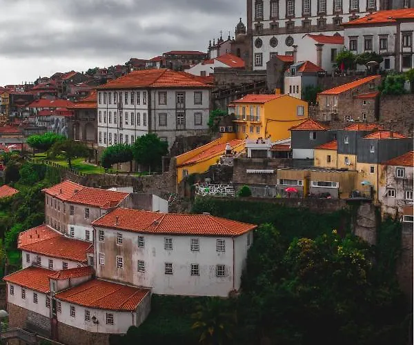 Insight Campanha Oporto