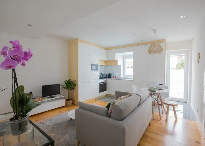 Insight Campanha Daire Porto