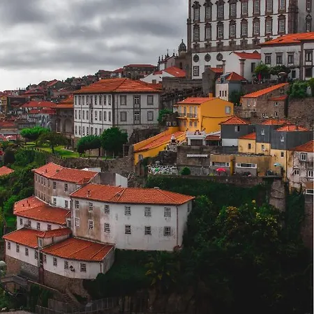 Insight Campanha Oporto