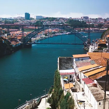 Insight Campanha * Porto