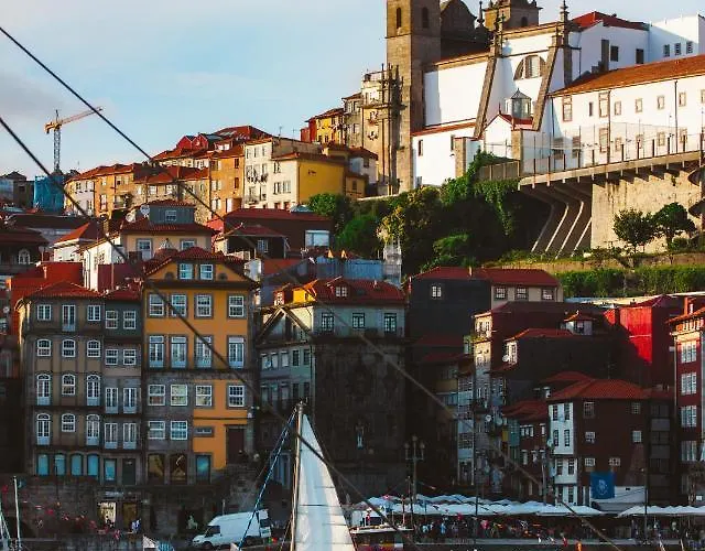 Apartament Insight Campanha